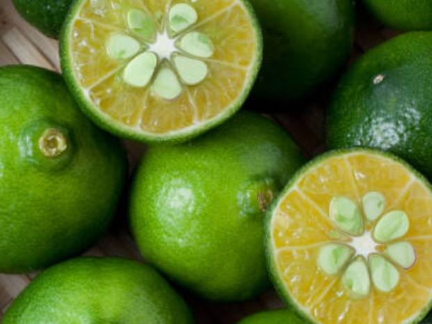 私たちの会社（店舗）についての画像