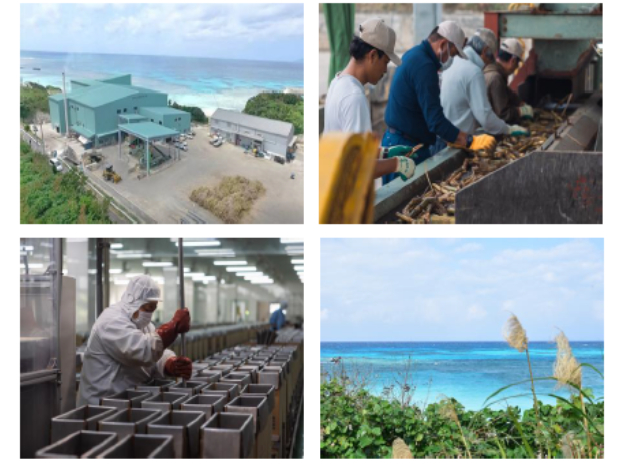 製糖工場スタッフの画像