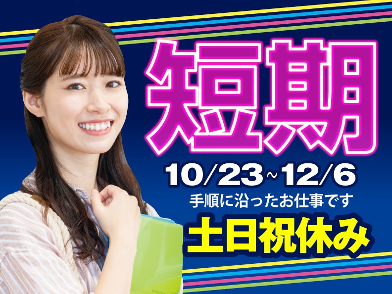 （1ヶ月半短期・未経験可）年末調整の事務【書類チェックや不備確認】の画像