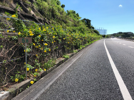 あなたにお願いしたいお仕事についての画像