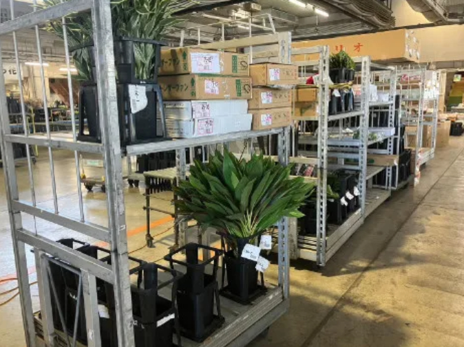 あなたにお願いしたいお仕事についての画像