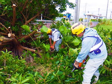 道路維持作業員【除草作業や側溝の清掃及びガードレールの補修作業や落下物の撤去】の画像