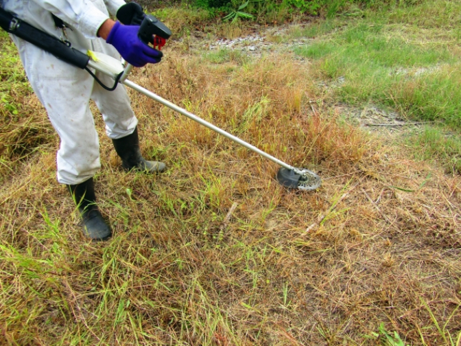 緑地管理スタッフ【敷地内の草刈り作業など】の画像