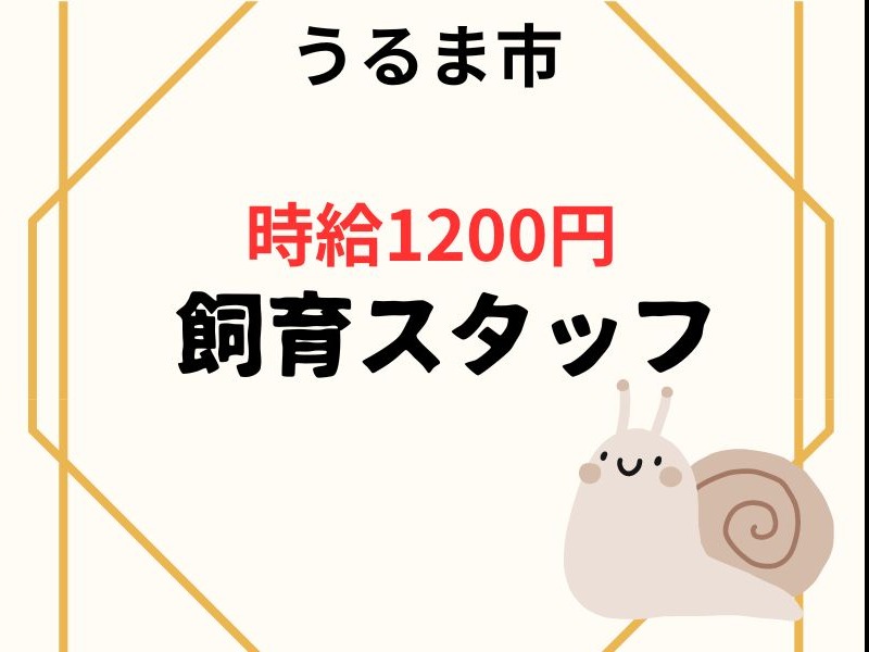 飼育研究スタッフ【研究用昆虫の餌やりや飼育箱の洗浄など】の画像