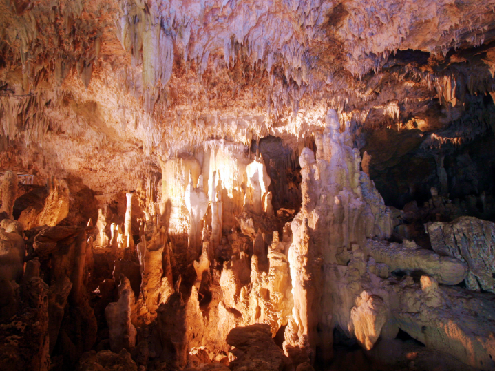 私たちの会社（店舗）についての画像