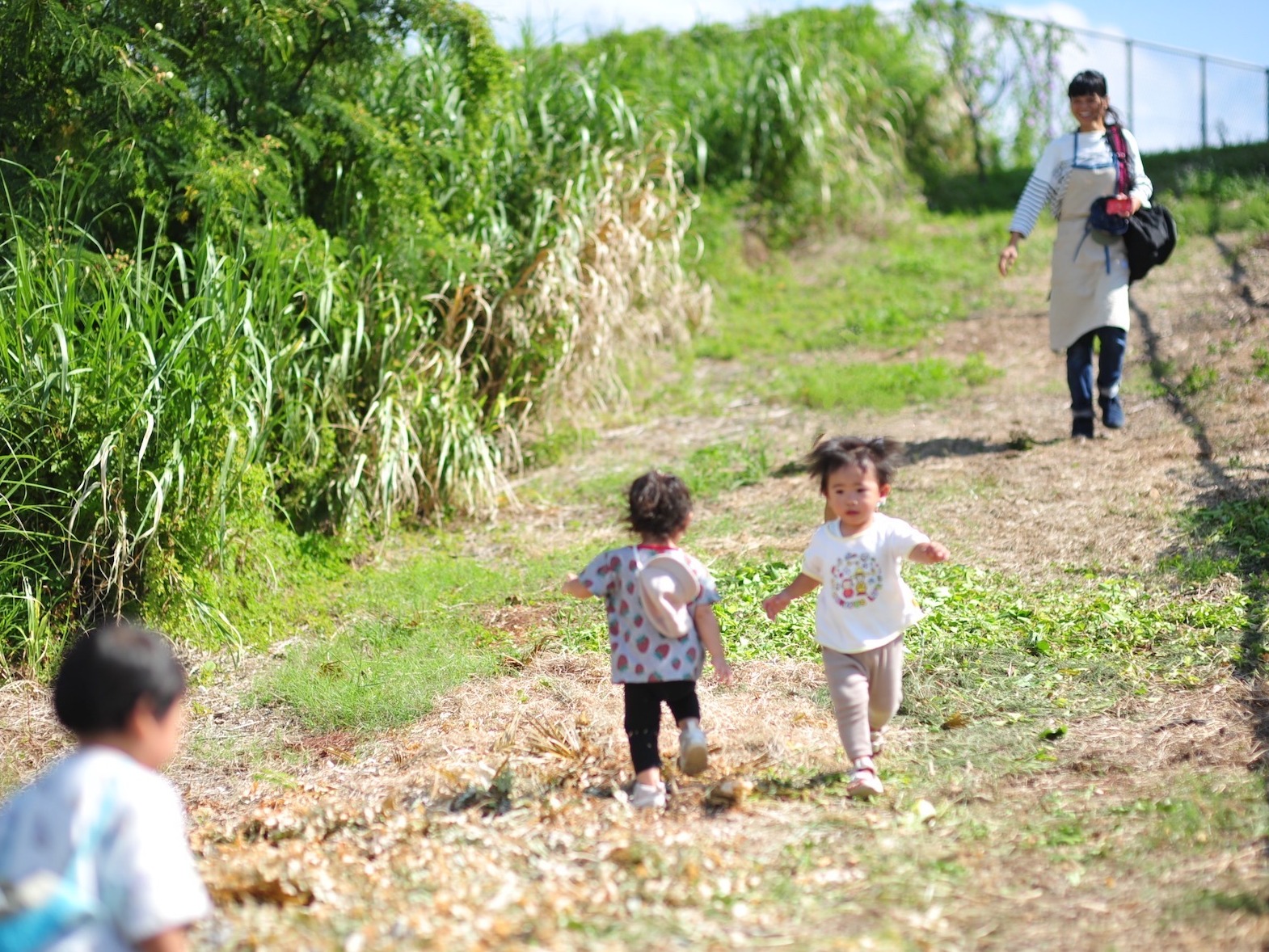 保育士(子育て支援員可)【1～2歳児19名の小規模な保育園での保育業務】の画像