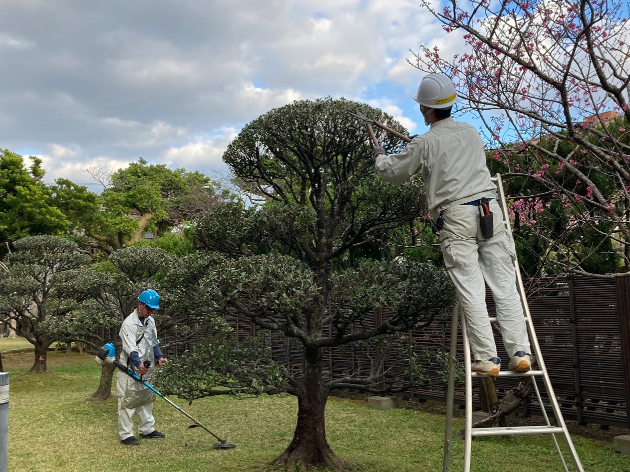 植栽管理スタッフ【除草や剪定及び育成管理など植栽管理業務全般】の画像