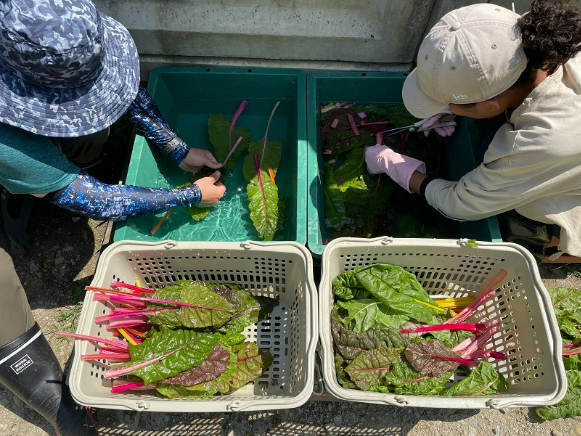 あなたにお願いしたいお仕事についての画像