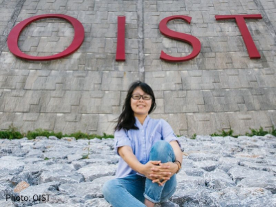 OIST大学院大学での経理事務【大学施設の運用管理部署での経理業務】の画像