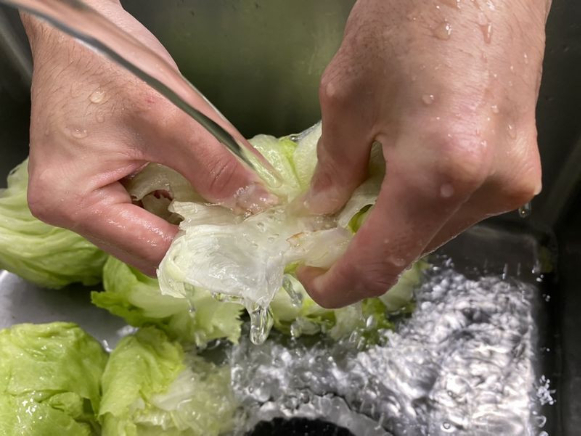 仕込み作業兼清掃スタッフ【野菜類等の簡単な仕込み作業及びキッチン内清掃作業】の画像