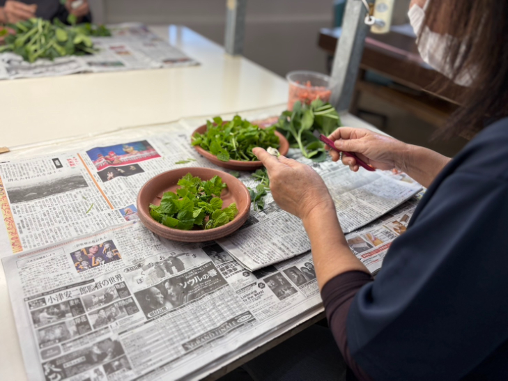 農園軽作業スタッフ【屋内作業場での野菜苗種植付や移植作業など】の画像