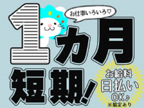 (短期･未経験可)一般事務スタッフ【決算財務関連の事務およびサイト巡回確認作業】の画像