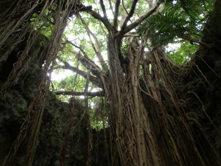 私たちの会社(店舗)についての画像