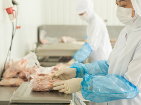 あなたにお願いしたいお仕事についての画像