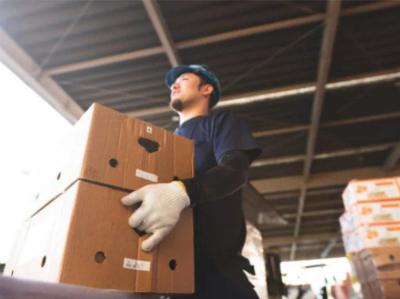 あなたにお願いしたいお仕事についての画像