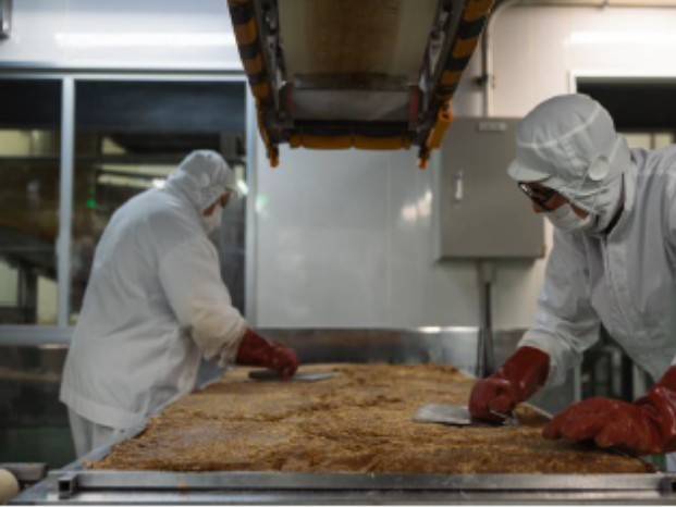 あなたにお願いしたいお仕事についての画像